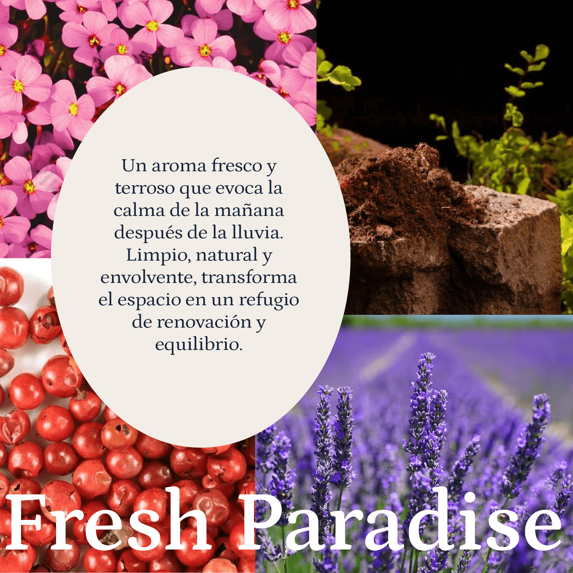 Fresh Paradise - Imagen 4
