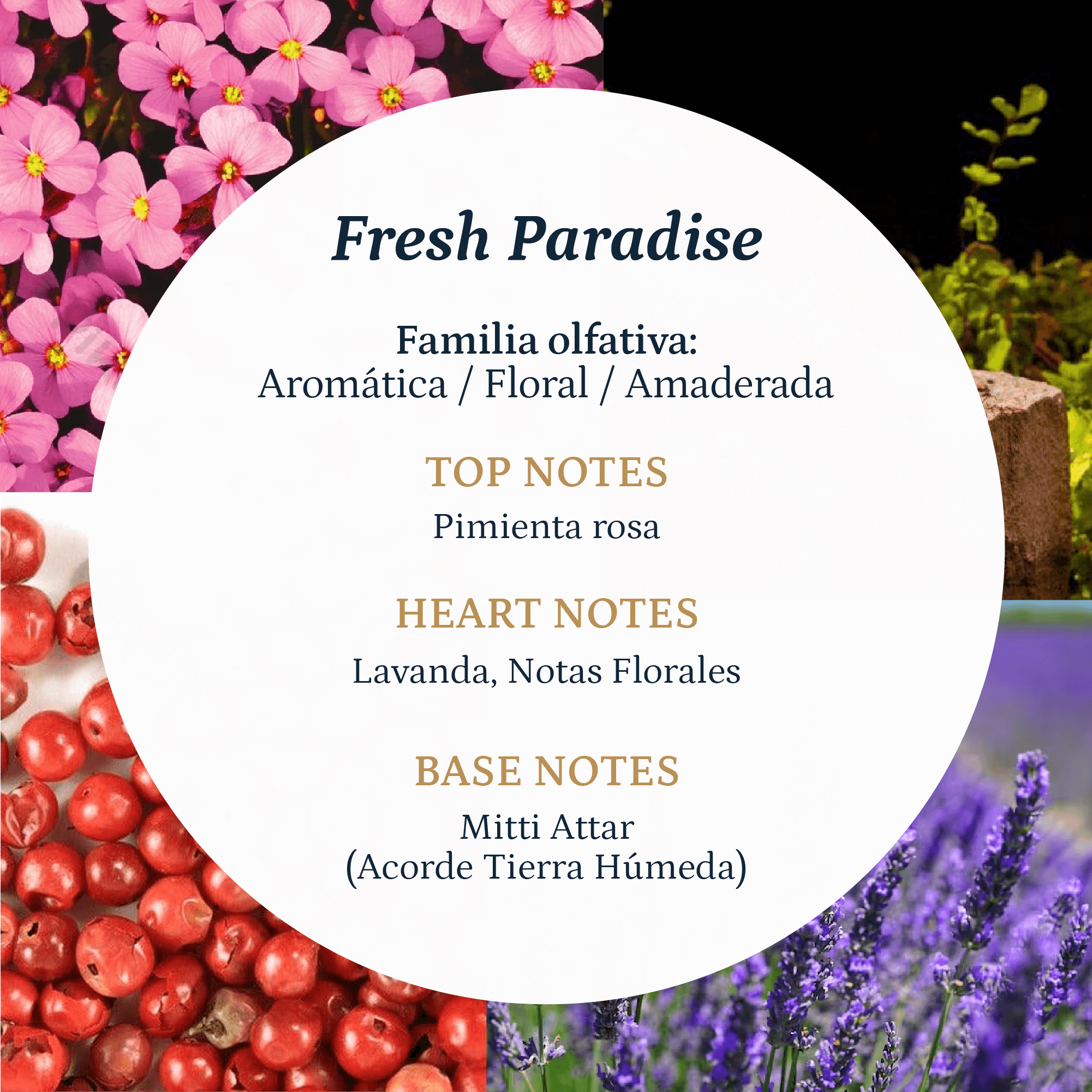 Fresh Paradise - Imagen 5