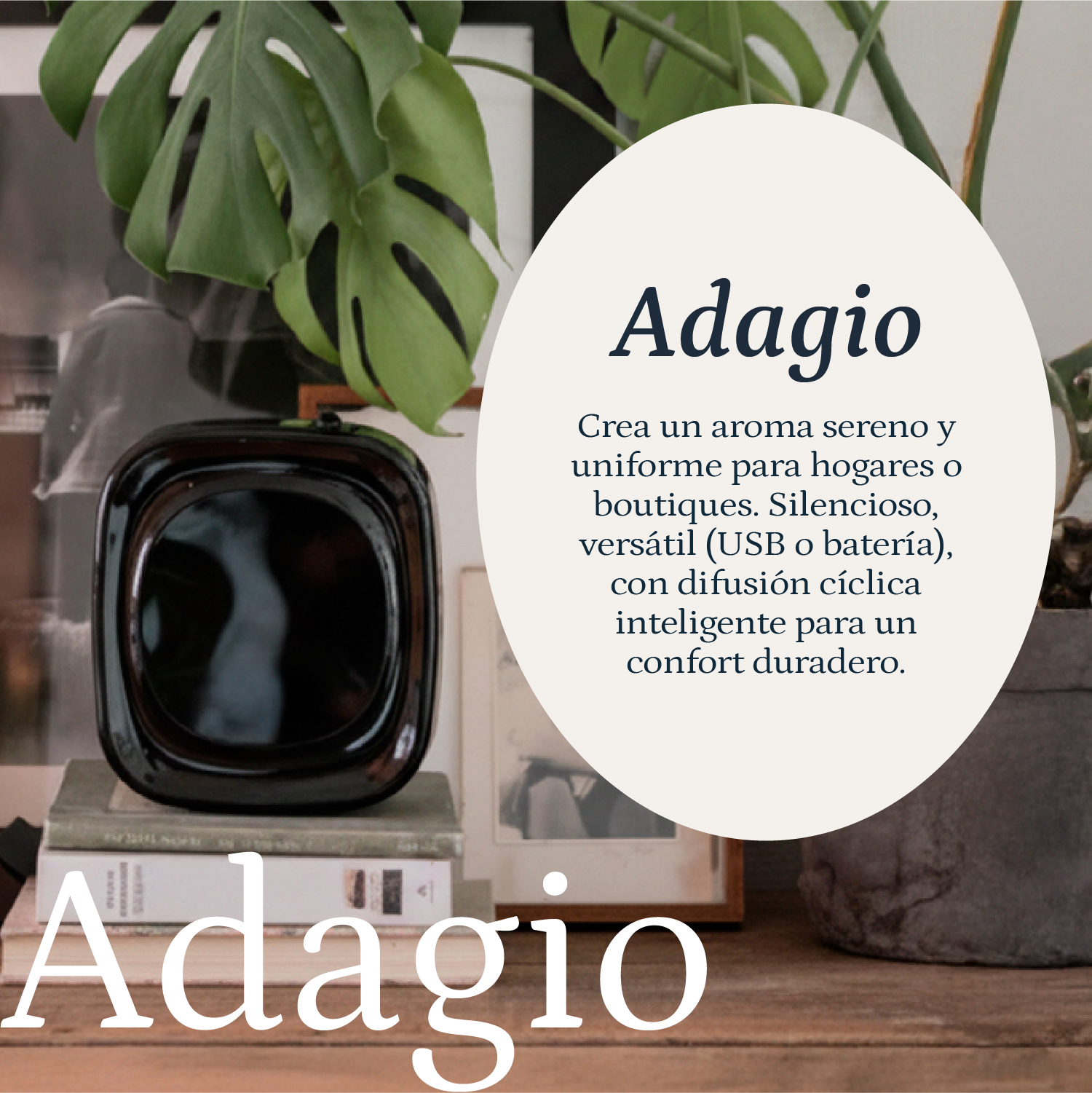 Adagio - Imagen 3