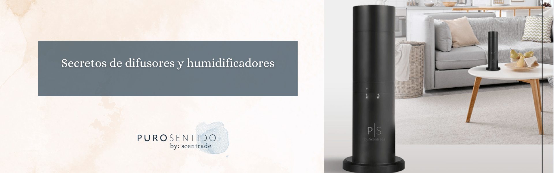 Read more about the article Secretos de difusores y humidificadores