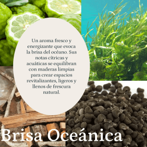 Brisa Oceanica