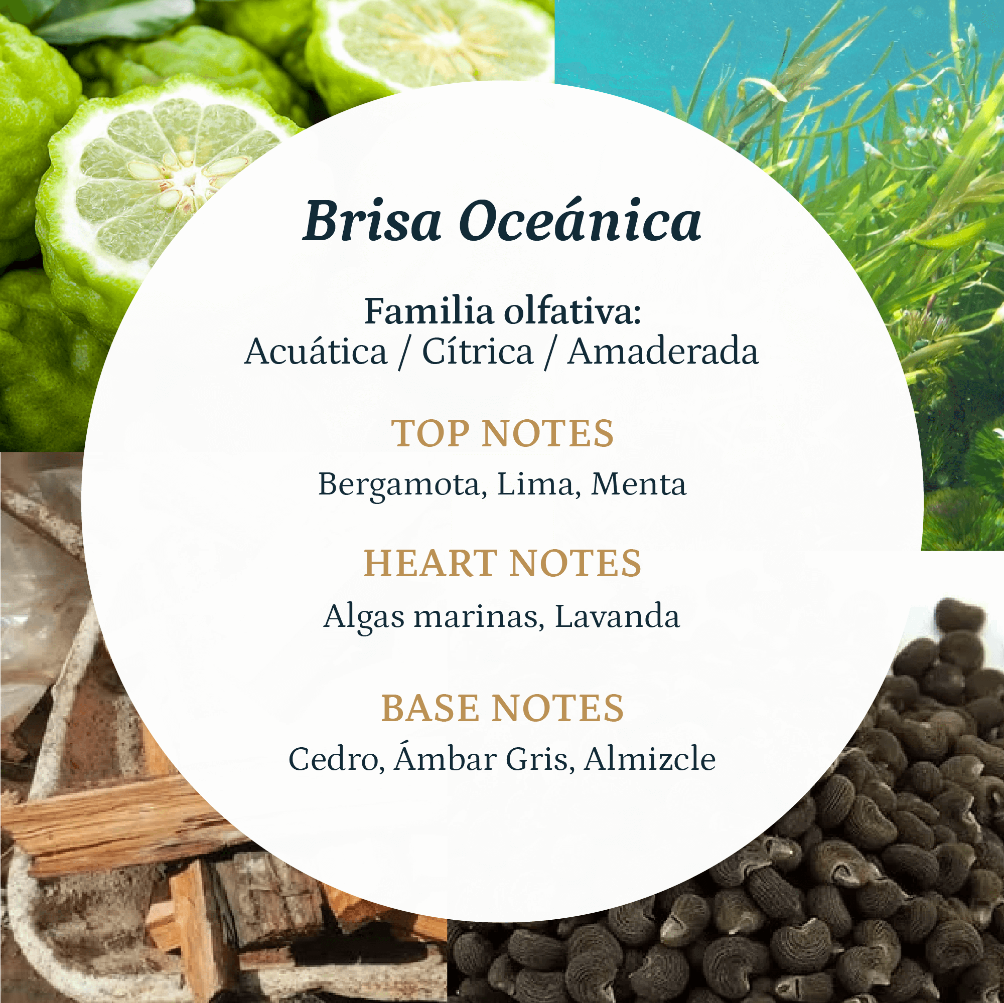 Brisa Oceanica - Imagen 3