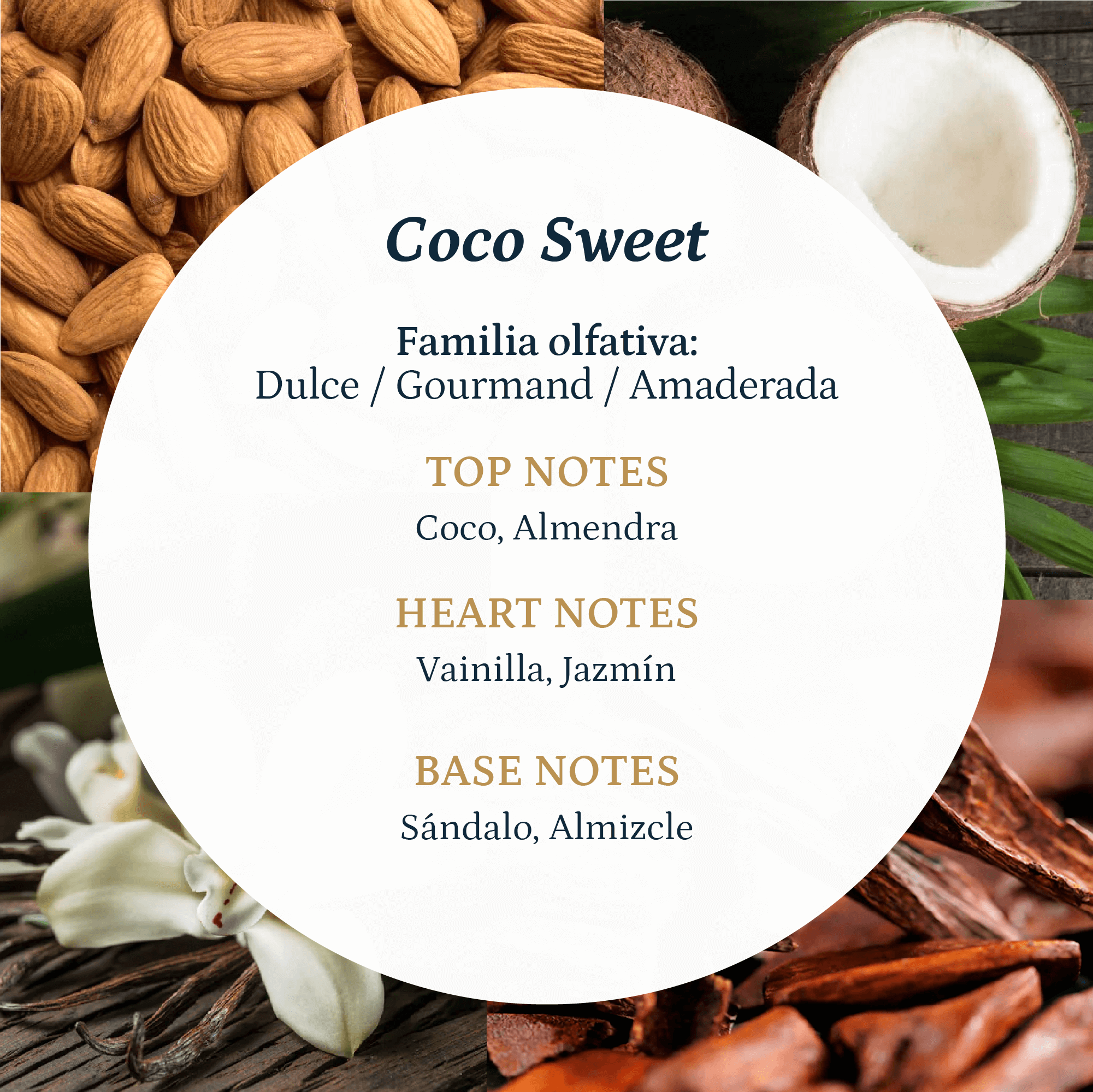 Coco Sweet - Imagen 4