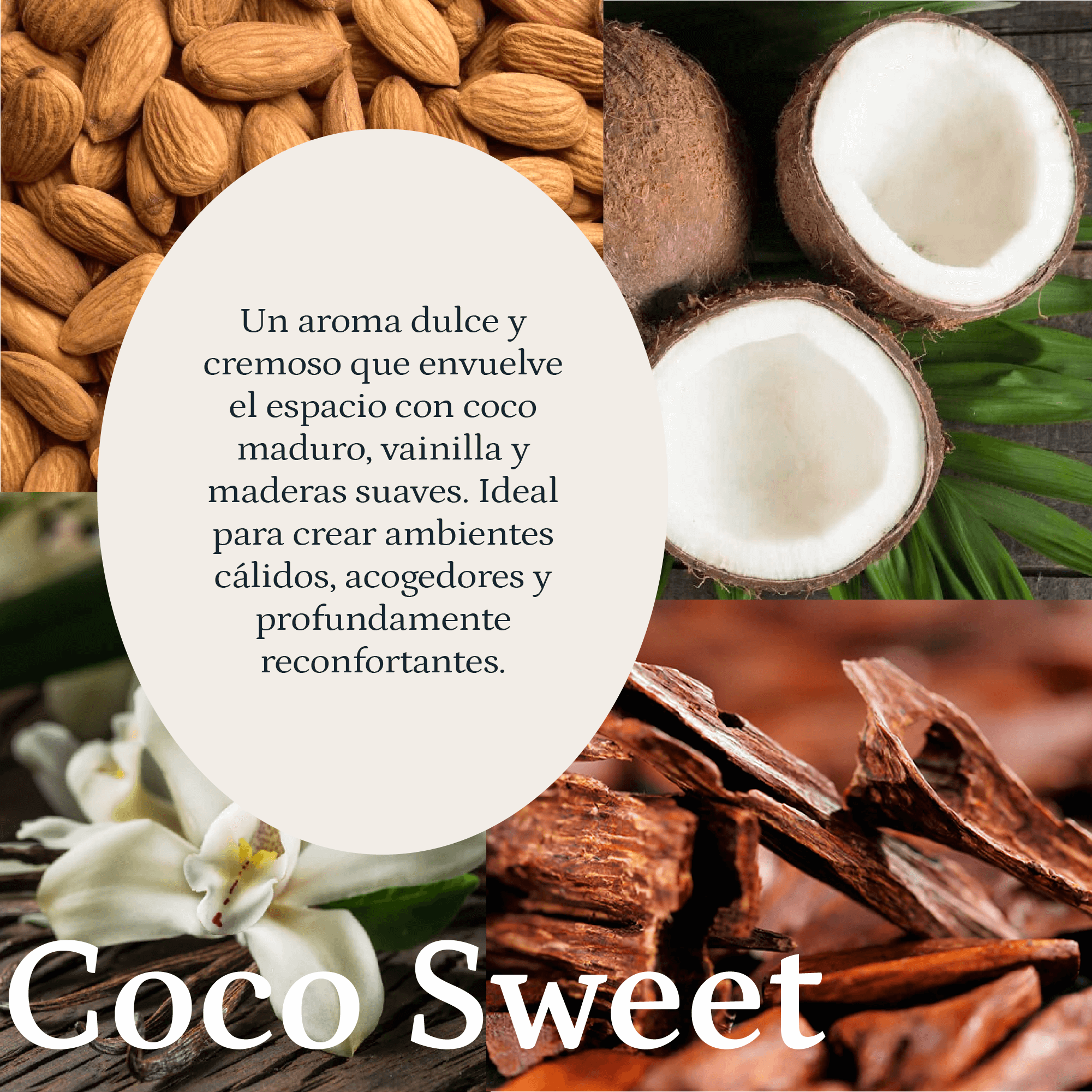 Coco Sweet - Imagen 5