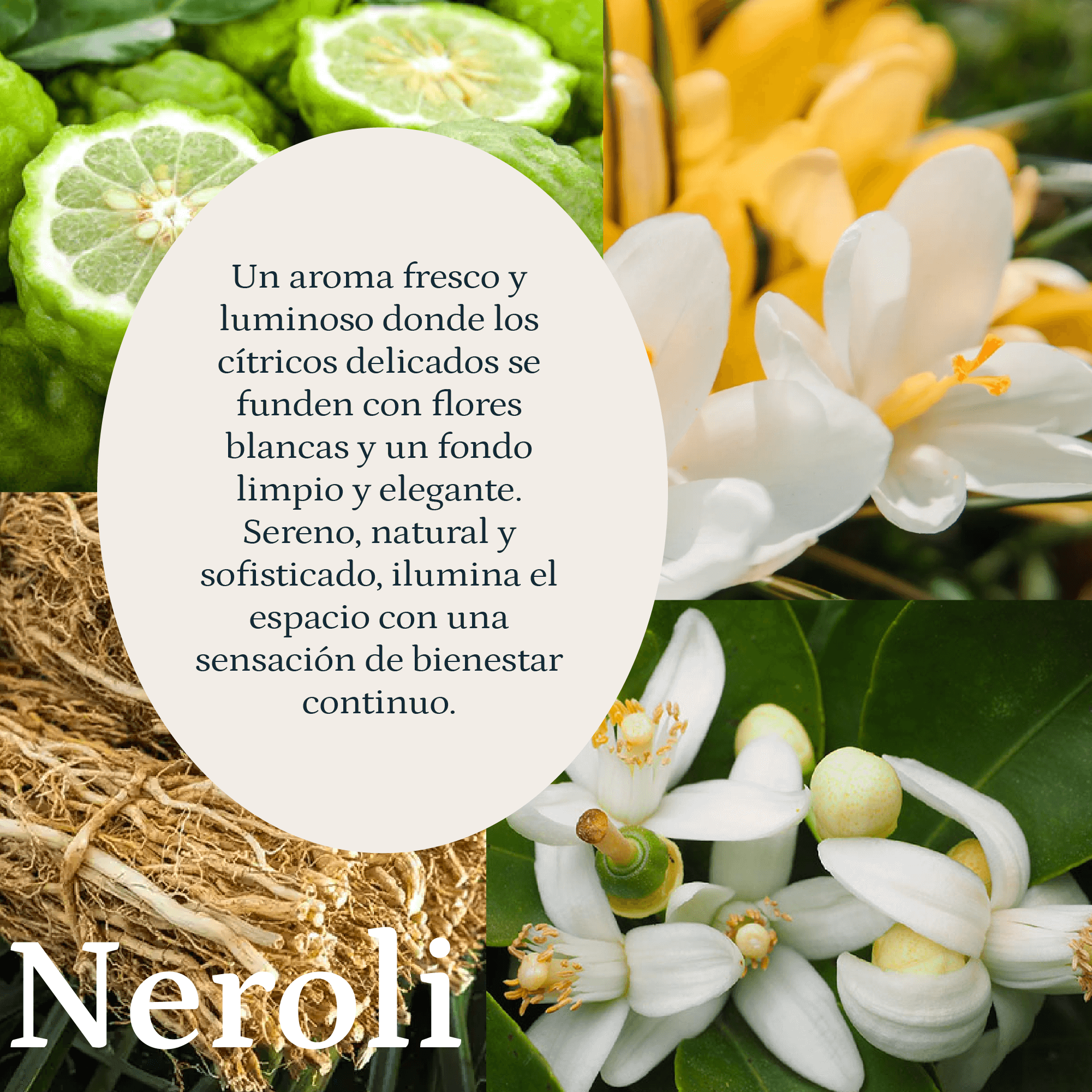 Neroli - Imagen 3
