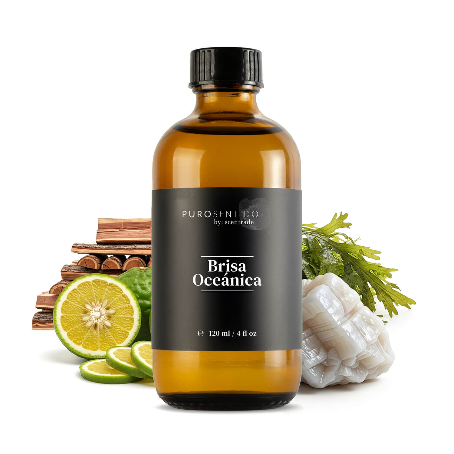 Brisa Oceanica - Imagen 5